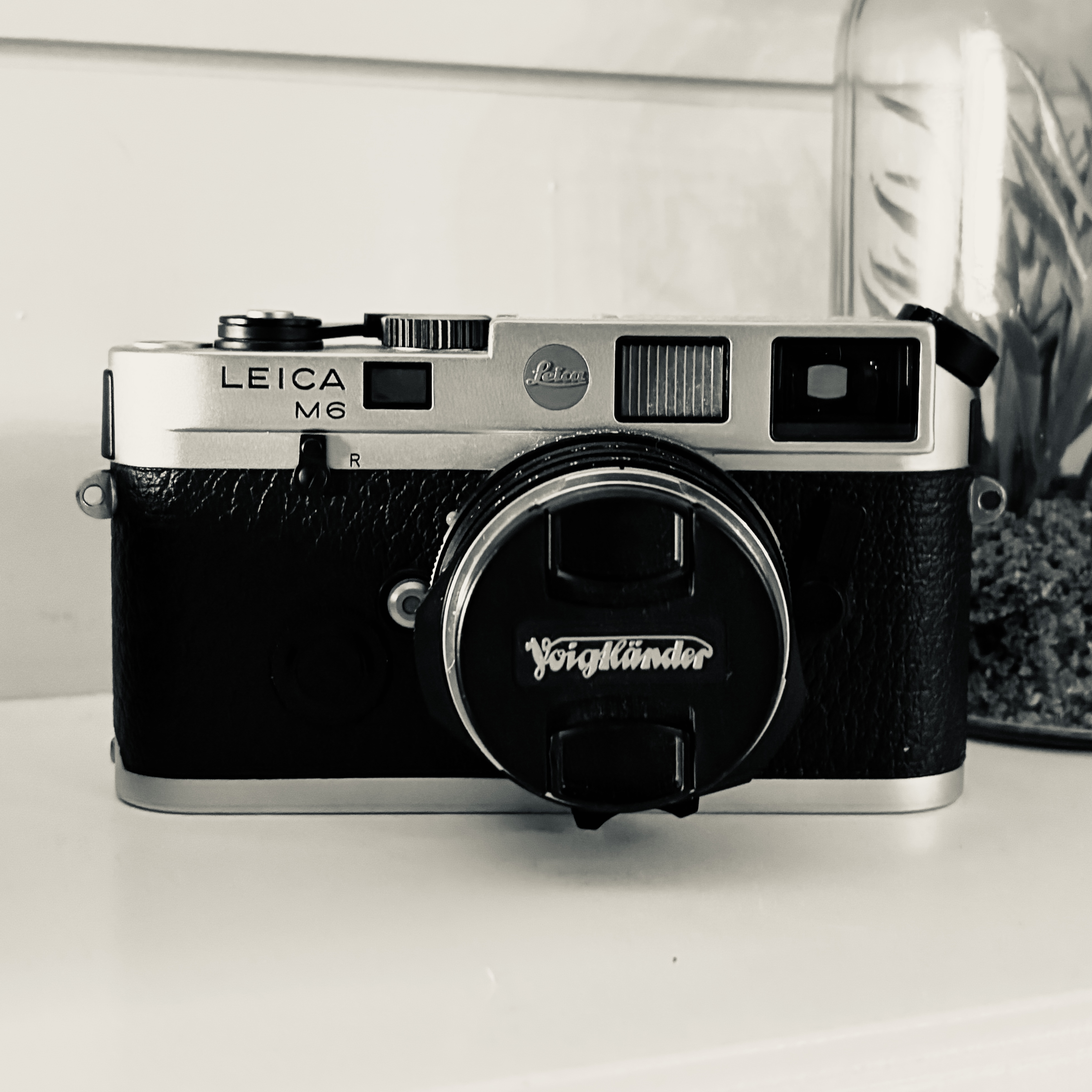 Leica M6